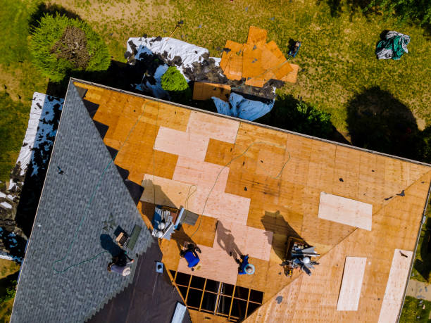 Best Roof Maintenance Services  in Seven Points, TX